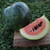 Black Diamond Watermelon