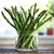 Asparagus UC 72