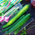 Chinese Snake Cucumber