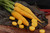 Solar Yellow Carrot
