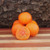 Orange Favorite