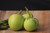 Applegreen Eggplant