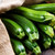 Black Beauty Zucchini