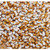 Appaloosa Bush Bean