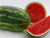 All Sweet Watermelon