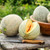 Honey Rock Melon