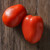 Roma Paste Tomato