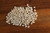 French Haricot (Flageolet)