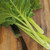 Swiss Chard Lucullus