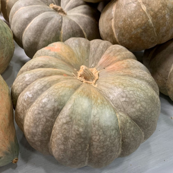 Strawberry Crown Pumpkin