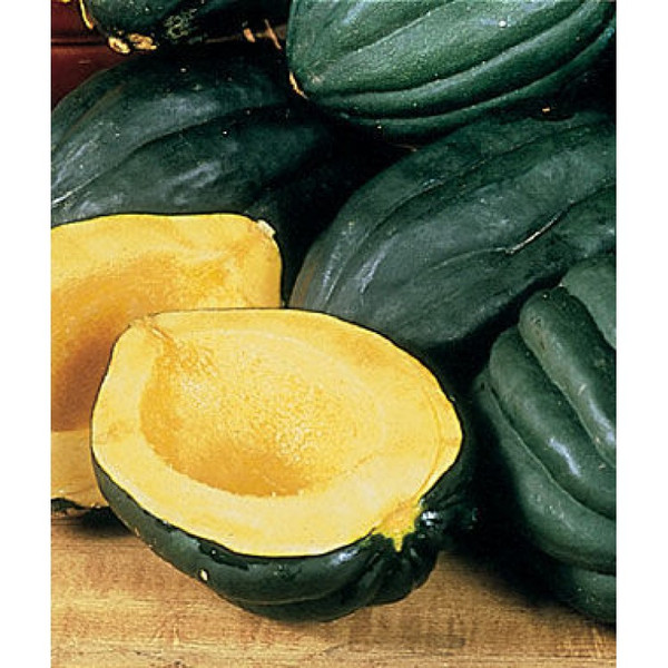 Table Queen Squash