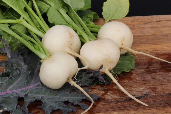 Hailstone Radish