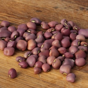 Khobwe Purple Cowpea