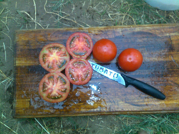 Santa Clara Sauce Tomato