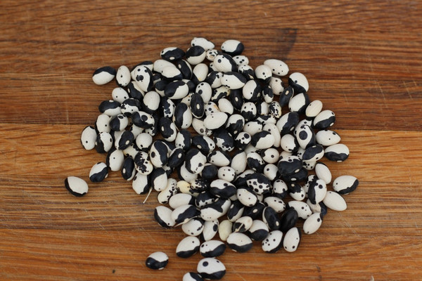 Orca Beans