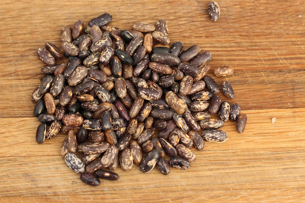 Prestons Bush Bean