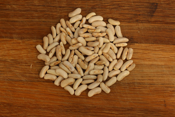 Contender Bush Beans