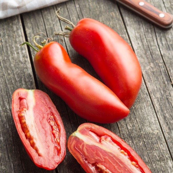San Marzano Paste (Indeterminate)
