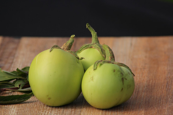 Applegreen Eggplant