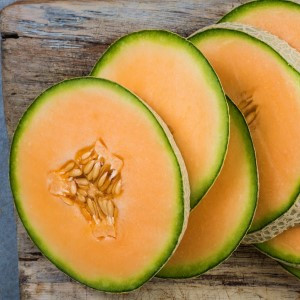 Hale's Best Cantaloupe