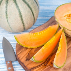 Charentais Melon