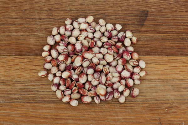 Mayflower Bean