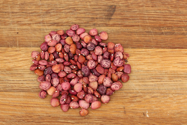 Dixie Lima Bush Beans