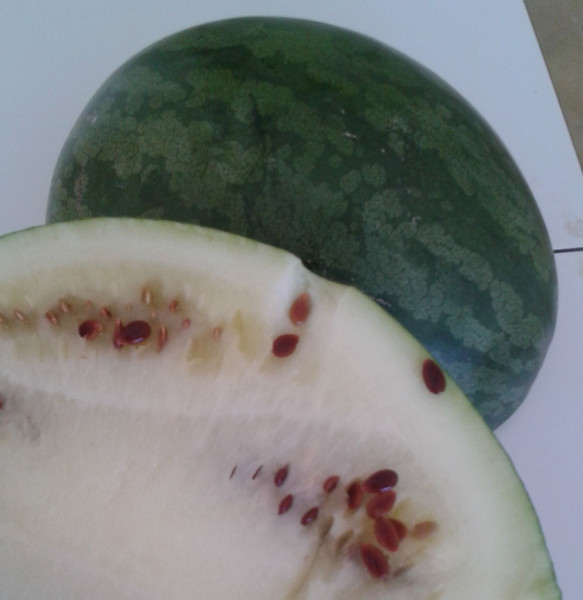 Makataan