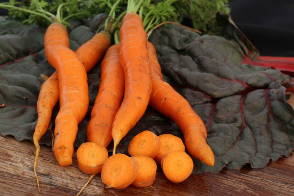Little Fingers Carrot