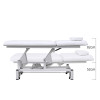 OPAL 012 Electric Massage Bed