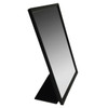 Mobile Folding Mirror