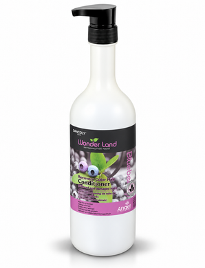 Angel Wonderland Blueberry Colour Lock Conditioner 1litre