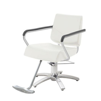 takara belmont electric styling chairs