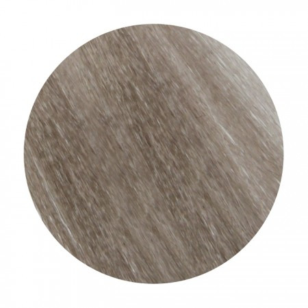 WildColor - 8.1 Light Ash Blond