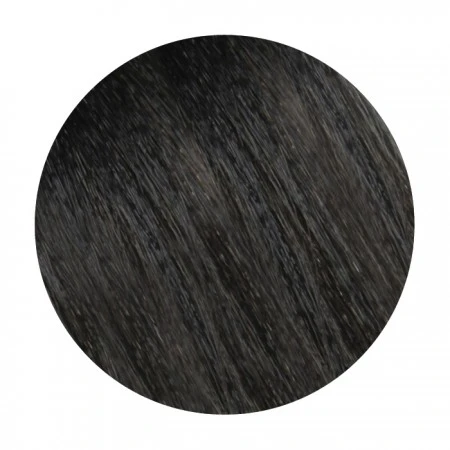 WildColor - 4.1 Ash Brown