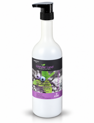 Angel Wonderland Blueberry Colour Lock Shampoo 1litre
