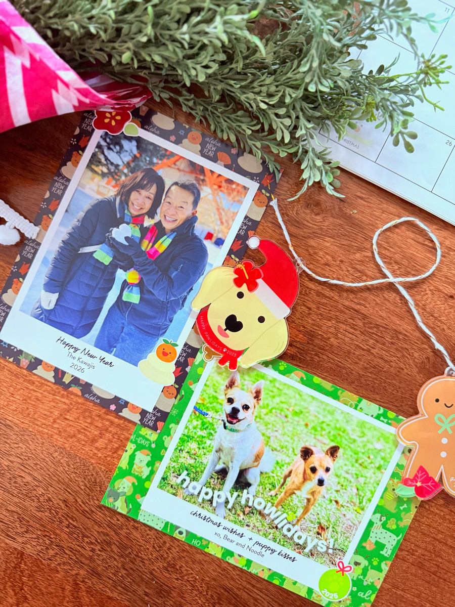 Acrylic Ornament: Santa Dog