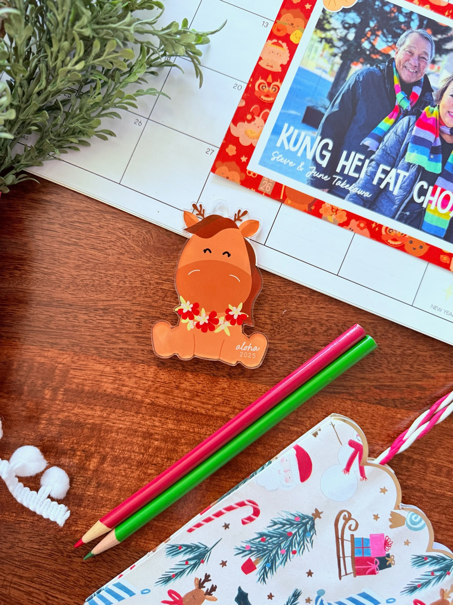 Acrylic Ornament: Year of Da Horse (Holiday Horse)