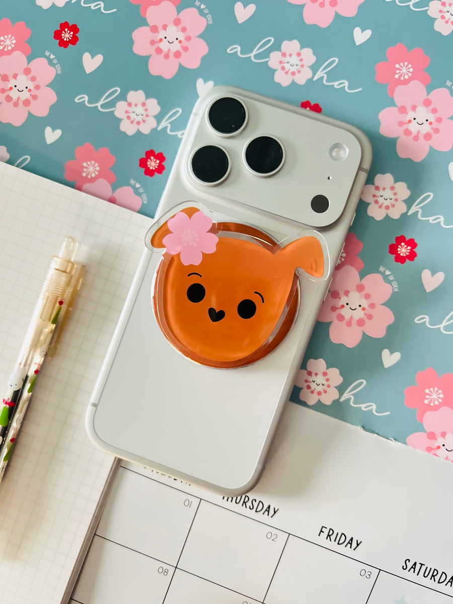 All Kine Snaps: Brown Dog