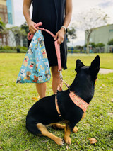 Small Tote: Bark Park