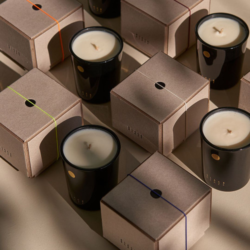 Black Blaze Rainforest Sunlight Voyage Candle Black Blaze Rainforest Sunlight Voyage Candle