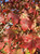 Early fall color of Burgundy Belle® red maple. Early fall color of Burgundy Belle® red maple.