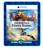 Immortals Fenyx Rising - PS5 - Edição Padrão - Primária - Mídia Digital