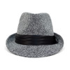 Fall/Winter Trilby Fedora Hat with Black Band Trim - H1805018