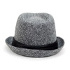 Fall/Winter Trilby Fedora Hat with Black Band Trim - H1805018