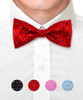 Silk Woven Freestyle Bow Tie FBS4701