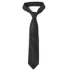 Men's Micro Fiber Poly Woven Regular Tie - MPW5961