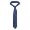Men's Micro Fiber Poly Woven Regular Tie - MPW5971