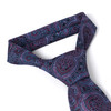 Men's Micro Fiber Poly Woven Regular Tie -MPW5975