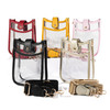 Clear PVC Mini Sized Crossbody Bag - B09